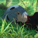 Image for article titled Evangelion 3.0+1.0 Wouldn't Work Without Its Quiet, Contemplative Opening